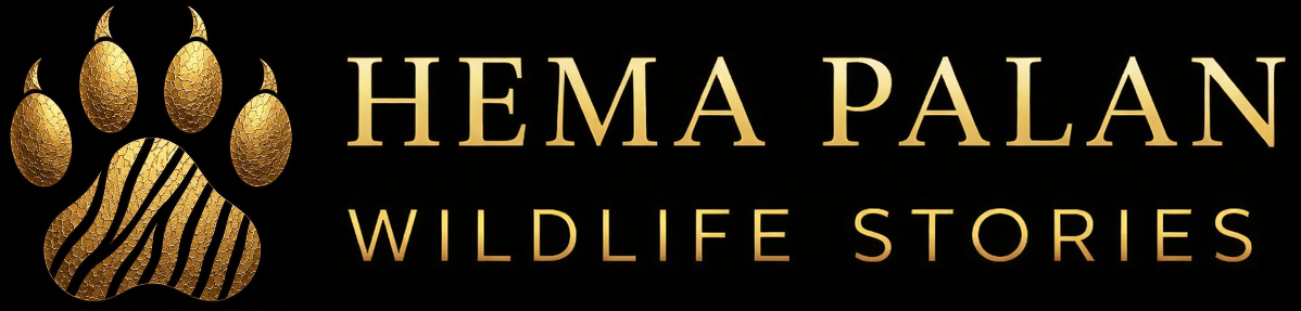 Hema Palan